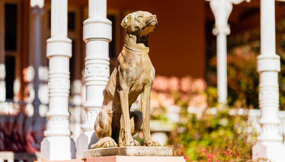 A day with the dogs at Retford Park National Trust