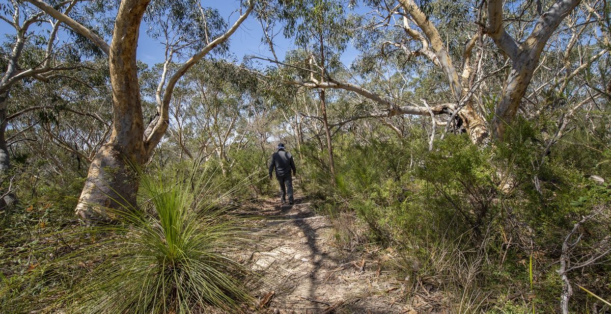 Pipeline and Bungaroo track
