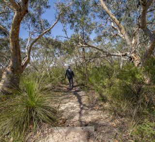 Pipeline and Bungaroo track related image