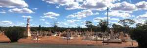 Cobar General