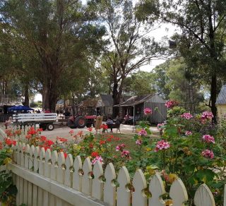 MAIN STREET THE AUSTRALIANA PIONEER VILLAGE related image