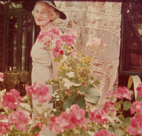 feature image