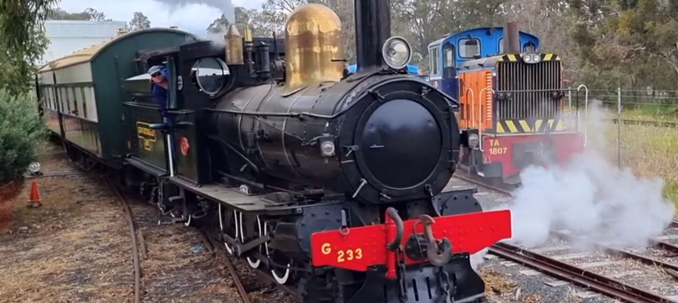 Leschenault Lady steams along