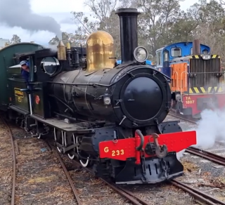 Leschenault Lady steams along related image
