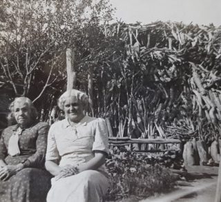 Rosanna Meech and daughter Gace with woodpile related image