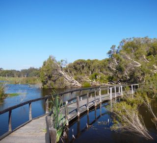 The Olive Seymour Walk Herdsman Lake Stirling related image