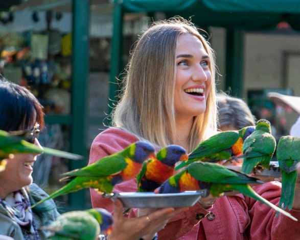 Currumbin Wildlife Sanctuary