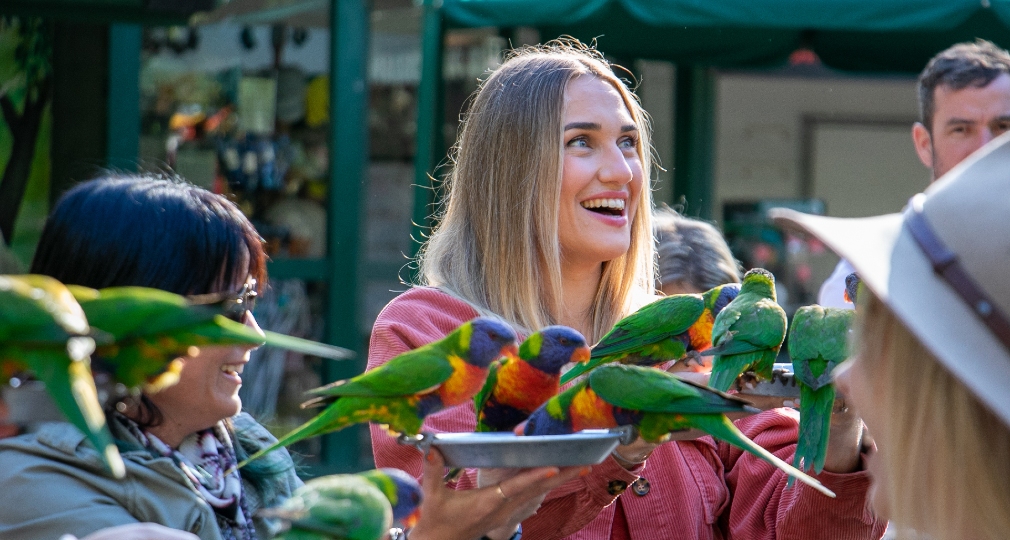 Currumbin Wildlife Sanctuary