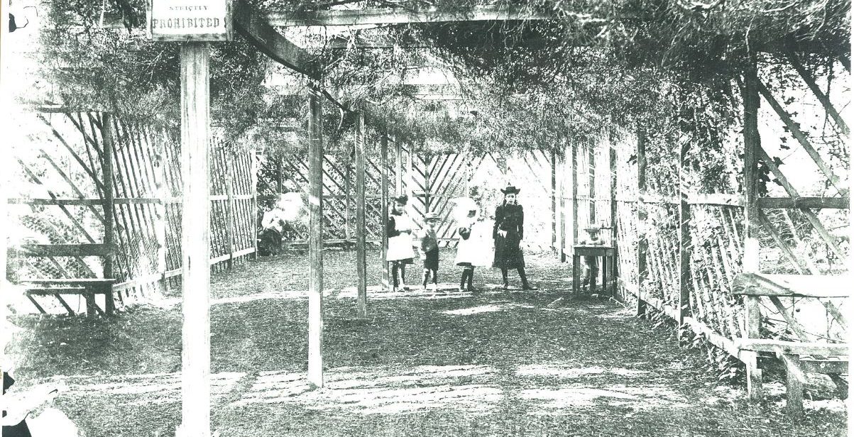 Fernery - young girls in the pinetum