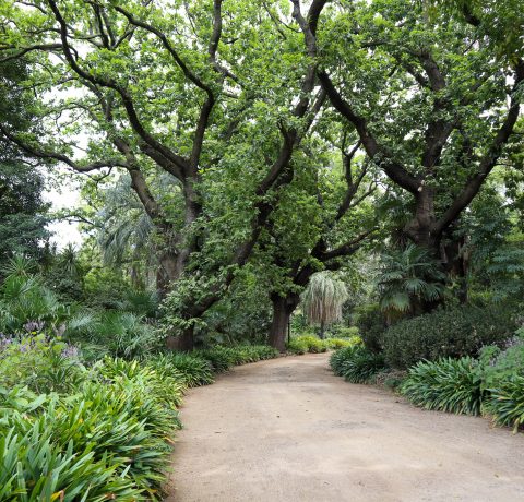feature image