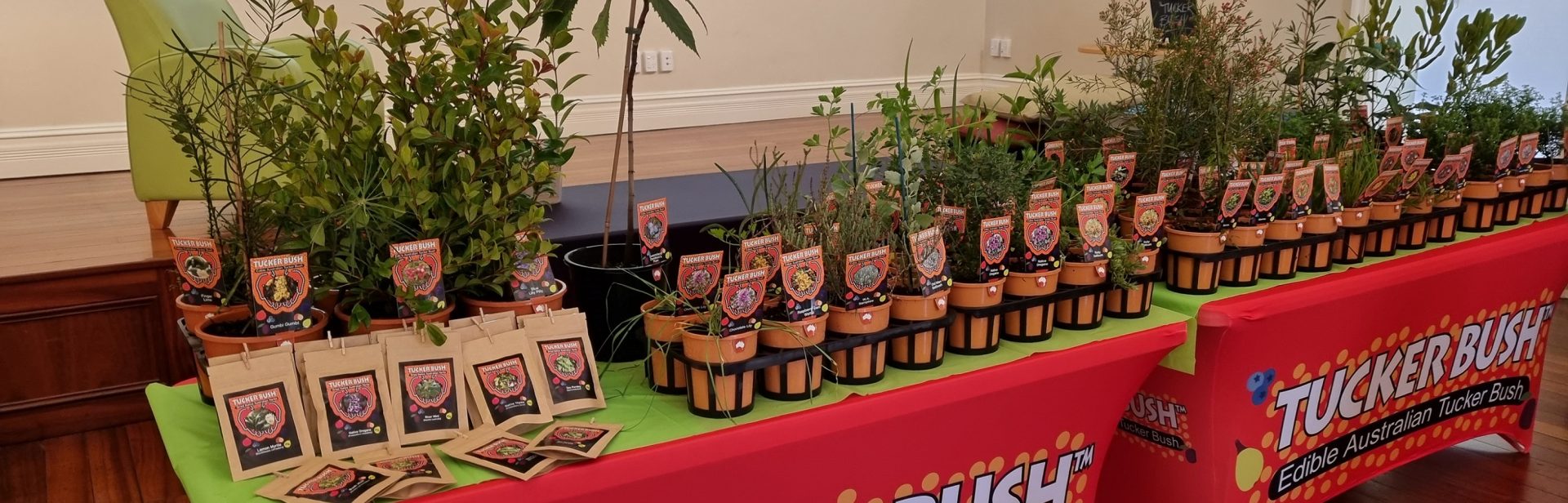 Plants - Tucker Bush Presentation