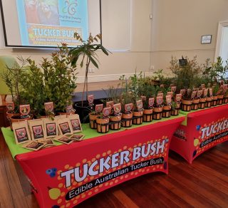 Plants Tucker Bush Presentation related image