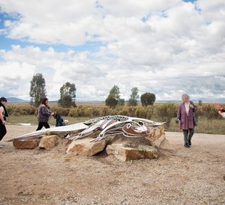 One of many exciting new outdoor sculptures recently installed at Winton Wetlands created by Yorta Yorta artists related image