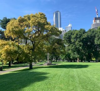 Flagstaff Gardens Walk related image