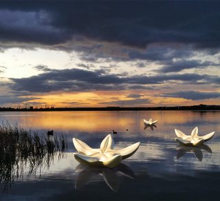 Cherry Lake at dusk related image