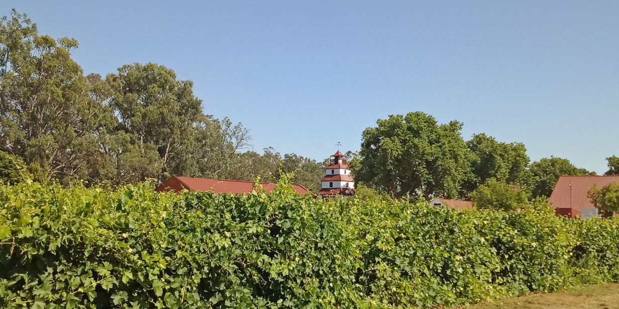 Baautiful historic Tahbilk Winery