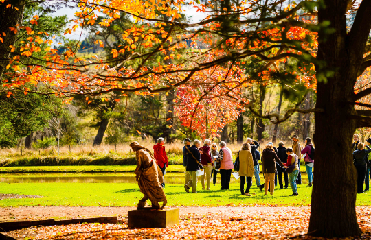 Autumn highlights