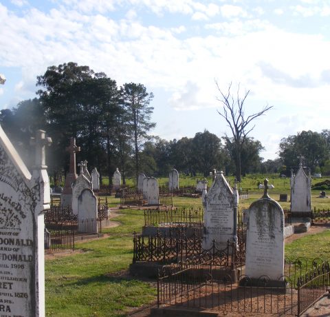 feature image