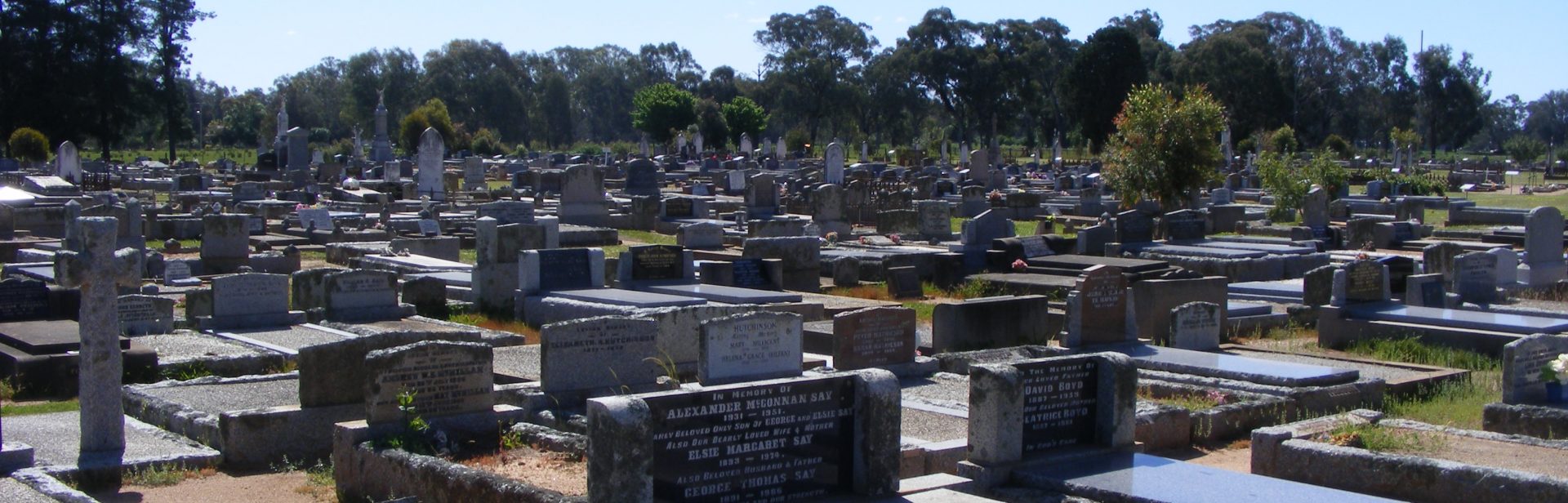 Honoring those who went before us