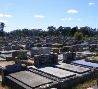 Honoring those who went before us related image