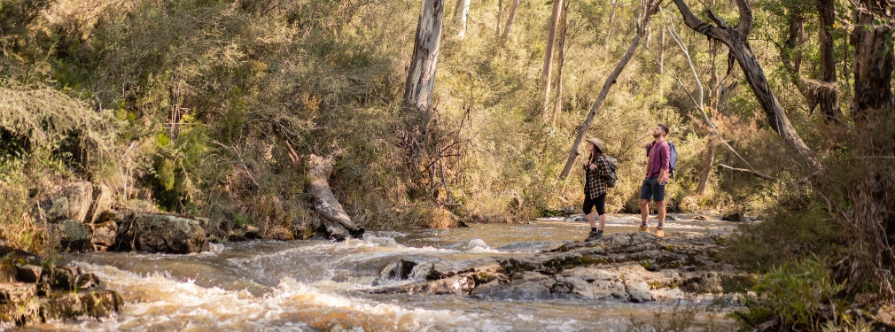 Hikers exploring a nature walk beside a creek.