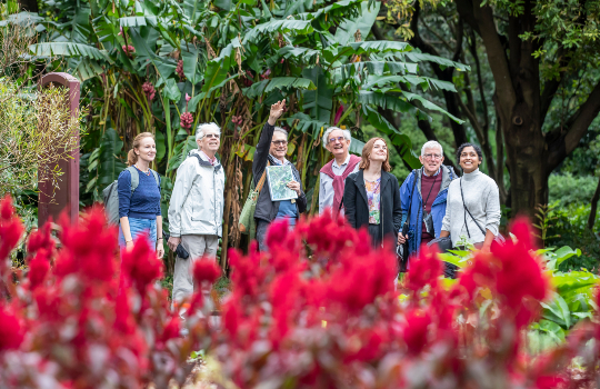 Whats on at the National Trust