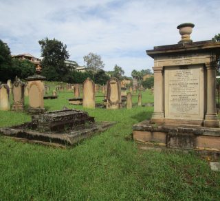 related image