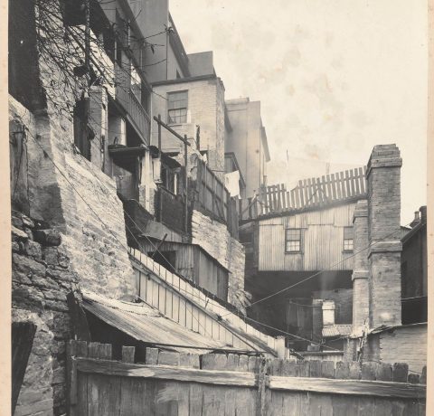 feature image