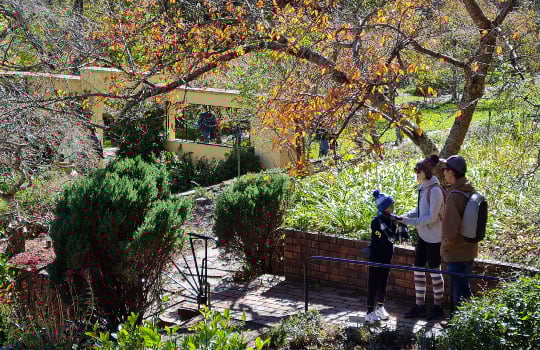 Whats on in NSW at the National Trust