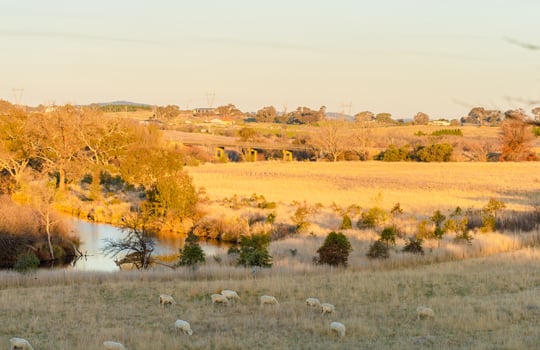 Cooma Cottage places to visit in NSW