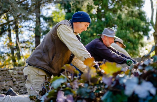 Volunteer at the National Trust