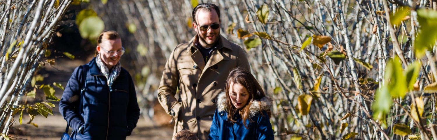 Visit Harpers Mansion