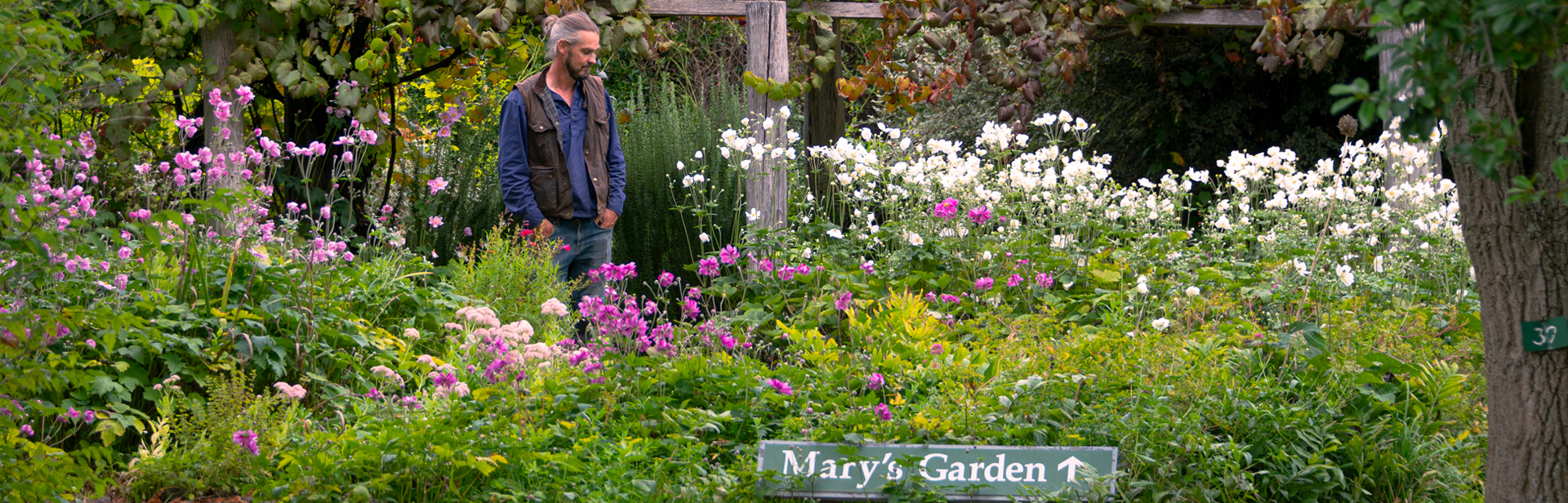 Donate to the National Trust