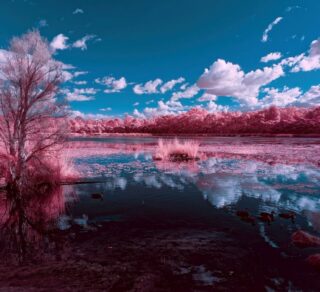 False Colour Infra Red Photograph with pink trees and blue skies reflected in a lake