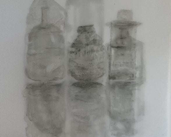 20 June: Artist In Residence - Sue Murray