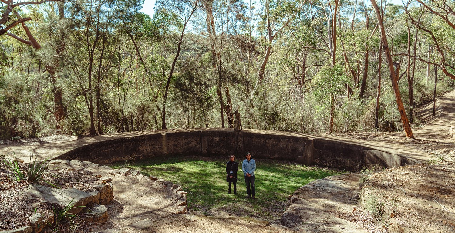 Norman Lindsay Gallery gardens