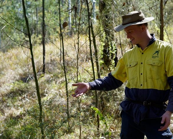 bushland management