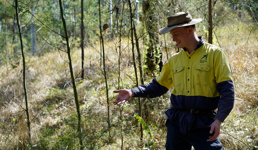 bushland management