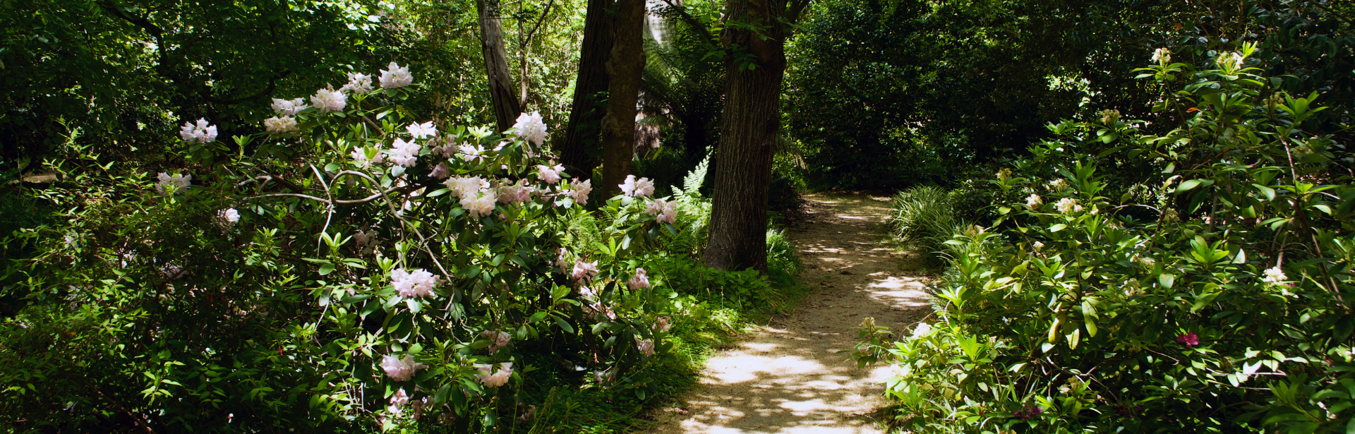 Stangate Gardens banner image