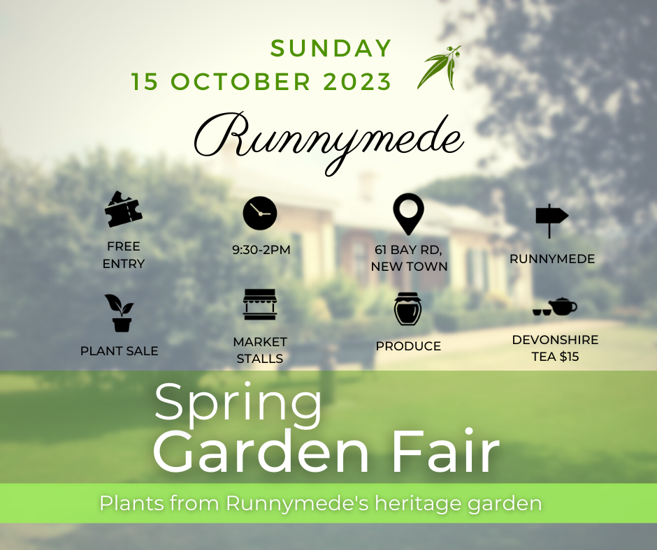 Runnymede Spring Garden Fair 2023 National Trust