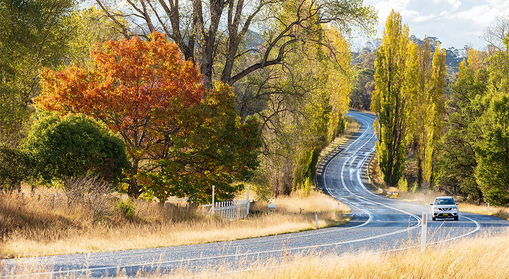 nsw places to visit in autumn