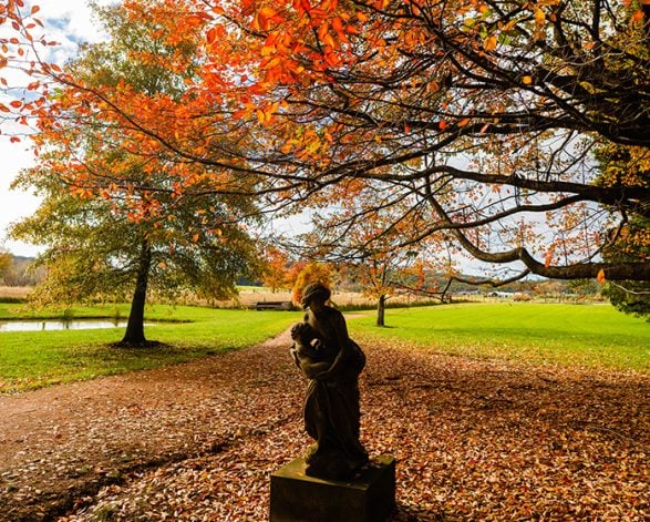 Things to do this autumn
