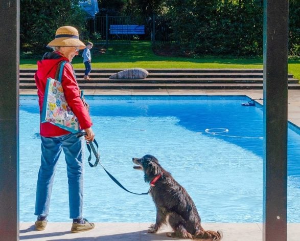 Dog-friendly days out