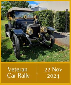 A vintage car parked in green grass with a yellow border