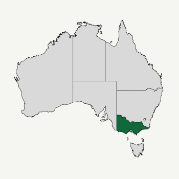 VIC