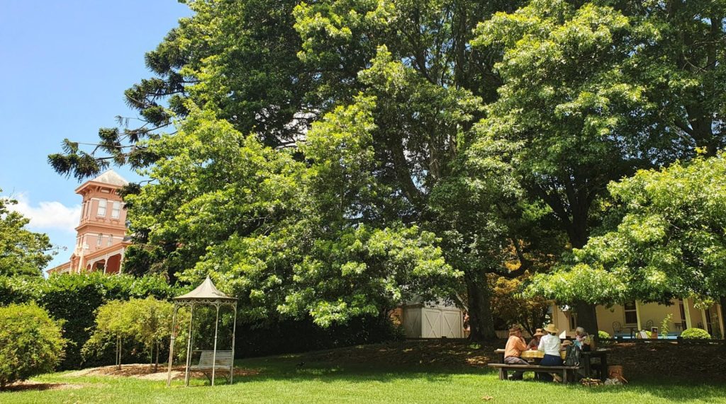 A group of friends picnic in the shade under a large tree.