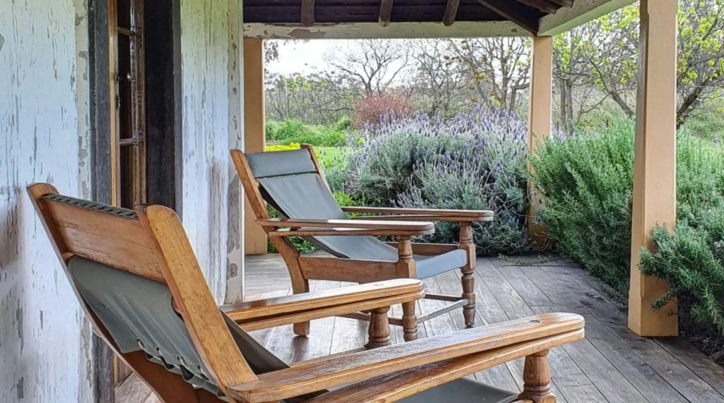 Two chairs perched on a verandah of a slab house in the country with lavender bushes in the background.