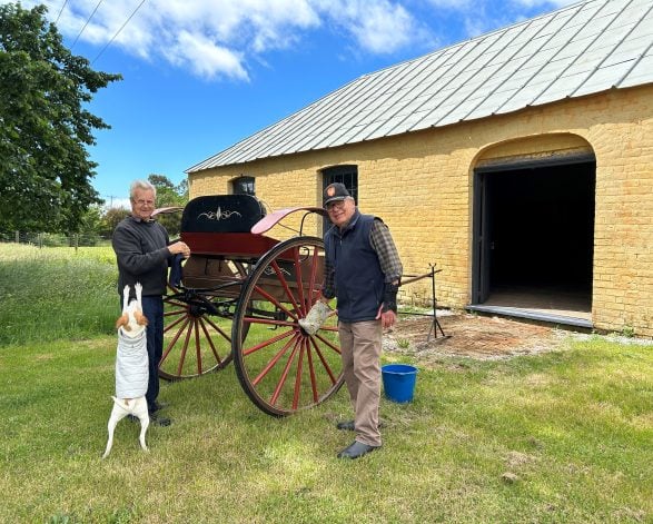 Michael MacDonald and Alan Milson of the Tasmanian Horse Drawn Vehicle Foundation overseen by Jacket Michaels Jack Russel Whippet cross