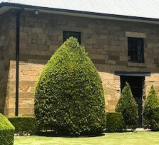 related image
