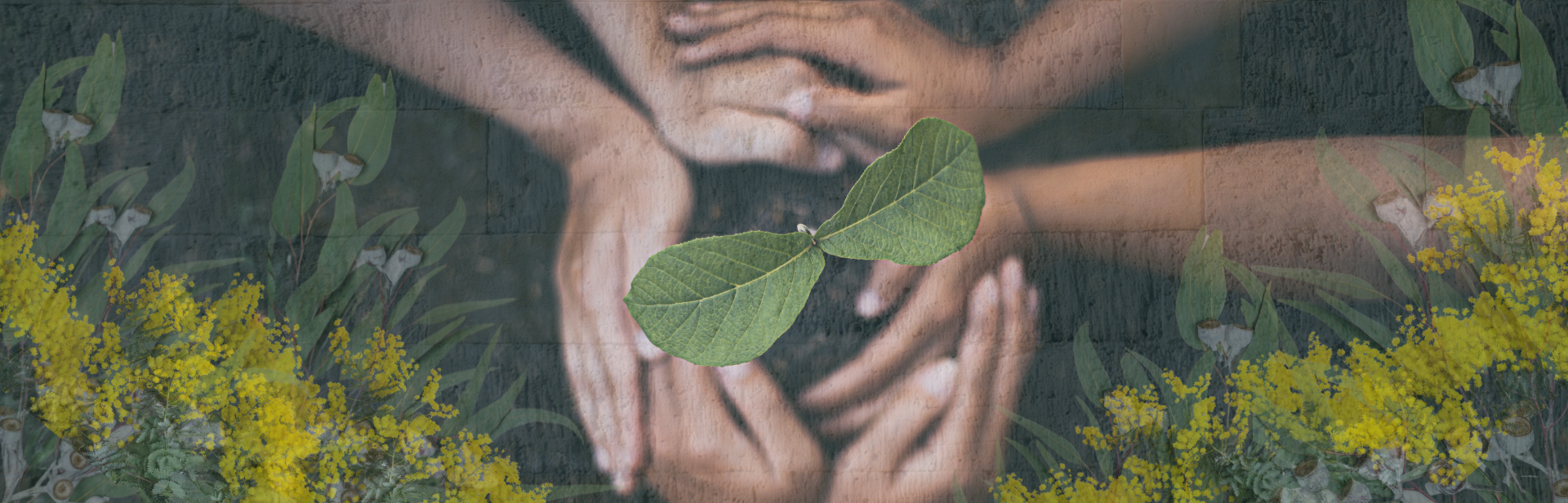 First Landscapes- Regenerating Living Heritage & Cultivating Kinship